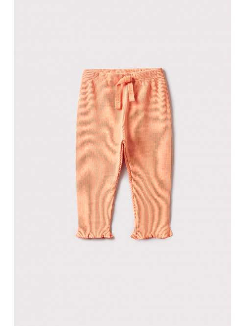 Baby Girl Legging - Salmón