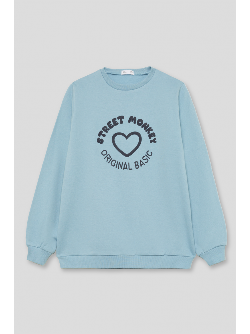 Sudadera felpa niña (perchada)