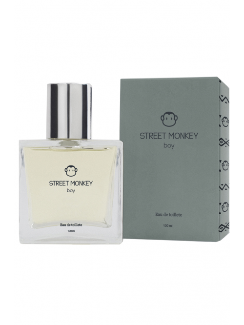 BOY EAU DE TOILETTE 100ml